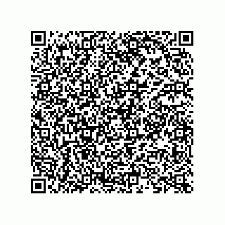 vCard 73822953331