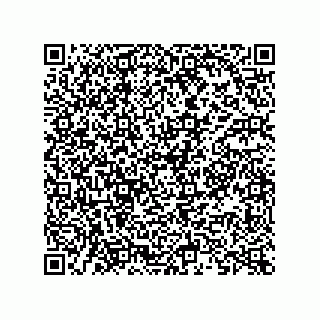 vCard 73822953333