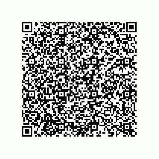 vCard 73822953334