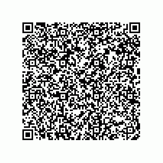 vCard 73822953391