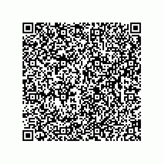 vCard 73822959311