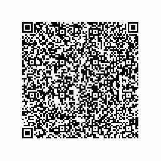 vCard 73822959319