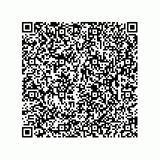 vCard 73822959334