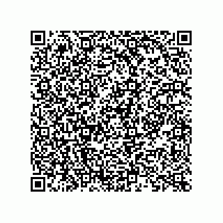 vCard 73822959413
