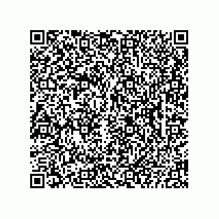 vCard 73822963311