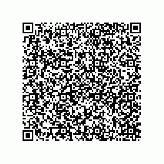 vCard 73822963871