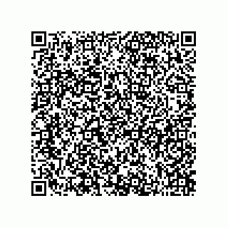 vCard 73822963895