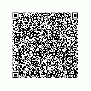 vCard 73822963913