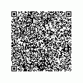 vCard 73822963985