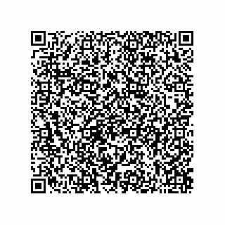 vCard 73822965321