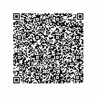 vCard 73822968653