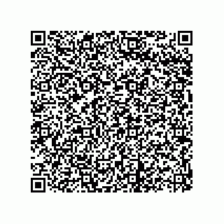 vCard 73822968733