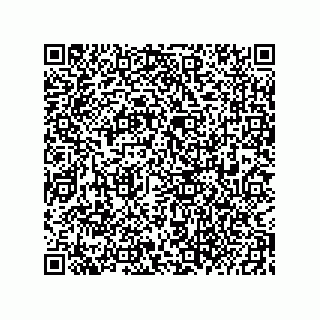 vCard 73822968832