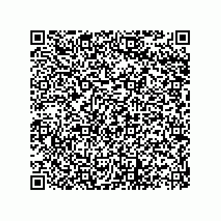 vCard 73822968841