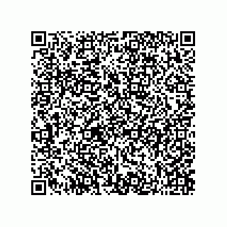 vCard 73822968900