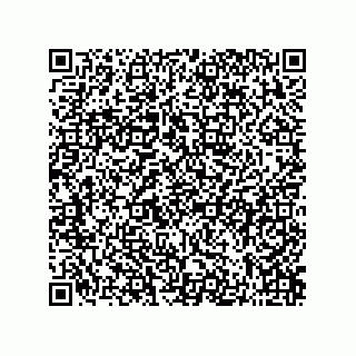 vCard 73822968907