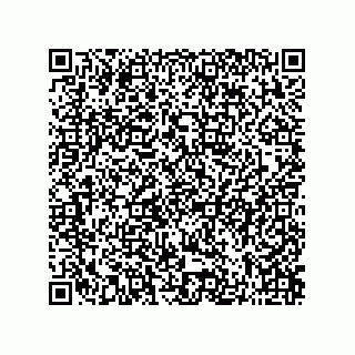 vCard 73822968919