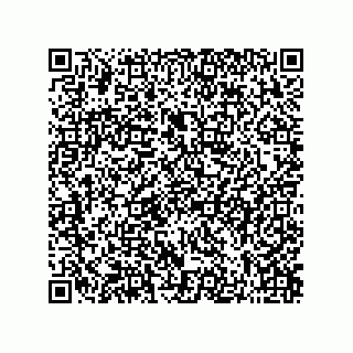 vCard 73822968931