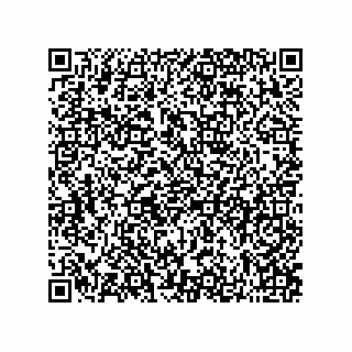 vCard 73822973207