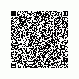 vCard 73823791211