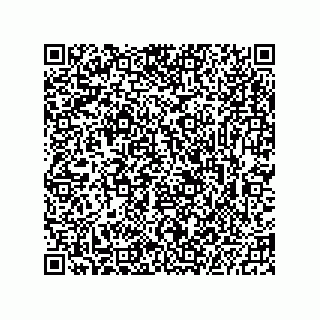 vCard 73823791333