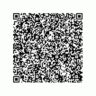 vCard 73823791382
