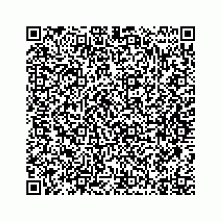 vCard 73824132039