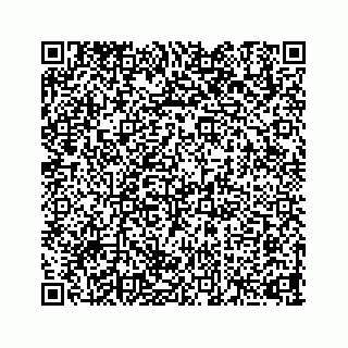 vCard 73824133221