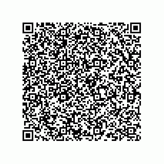 vCard 73824149311