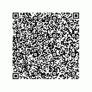vCard 73824149313