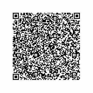 vCard 73824149319