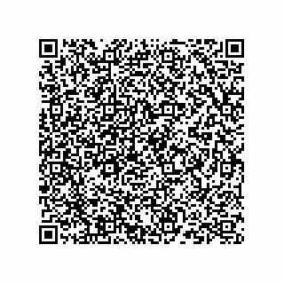vCard 73824149333