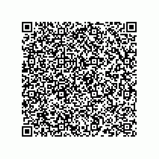 vCard 73824149381