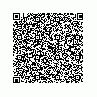 vCard 73824521331