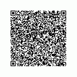 vCard 73824521333