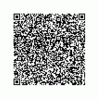 vCard 73824521387
