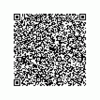 vCard 73824536333