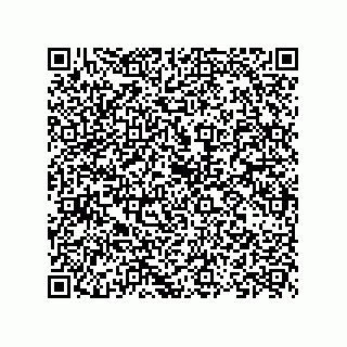 vCard 73824545333