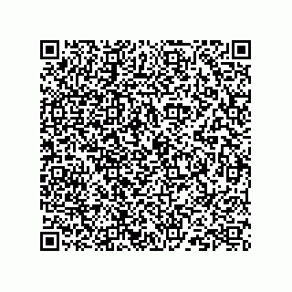 vCard 73824938121