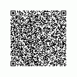 vCard 73824938131