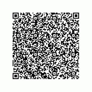 vCard 73824938133