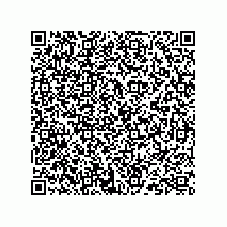 vCard 73824938137