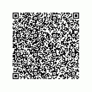 vCard 73824938210