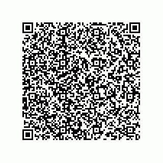 vCard 73824938211