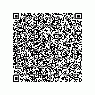 vCard 73824938215