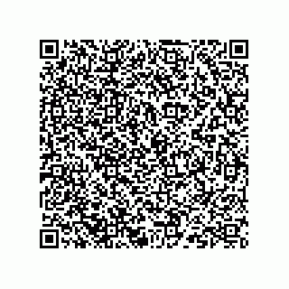 vCard 73824938221