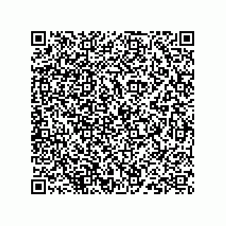 vCard 73824938315