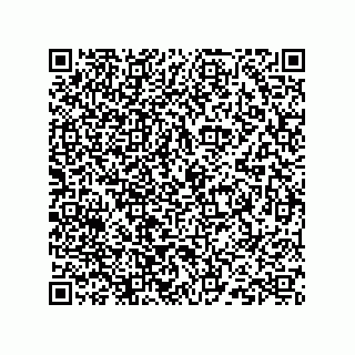vCard 73824938331