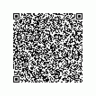 vCard 73824938387
