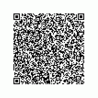 vCard 73824939419